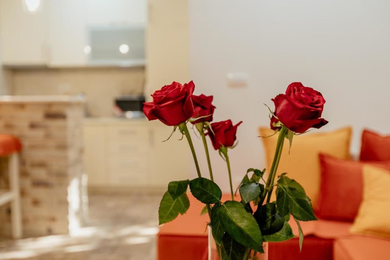 Апартаменты Bobana Apartments Дони-Моринь