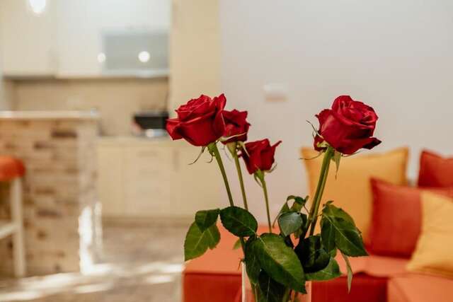Апартаменты Bobana Apartments Дони-Моринь-33